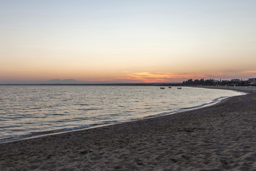 Coral Blue Beach Hotel גראקיני מראה חיצוני תמונה